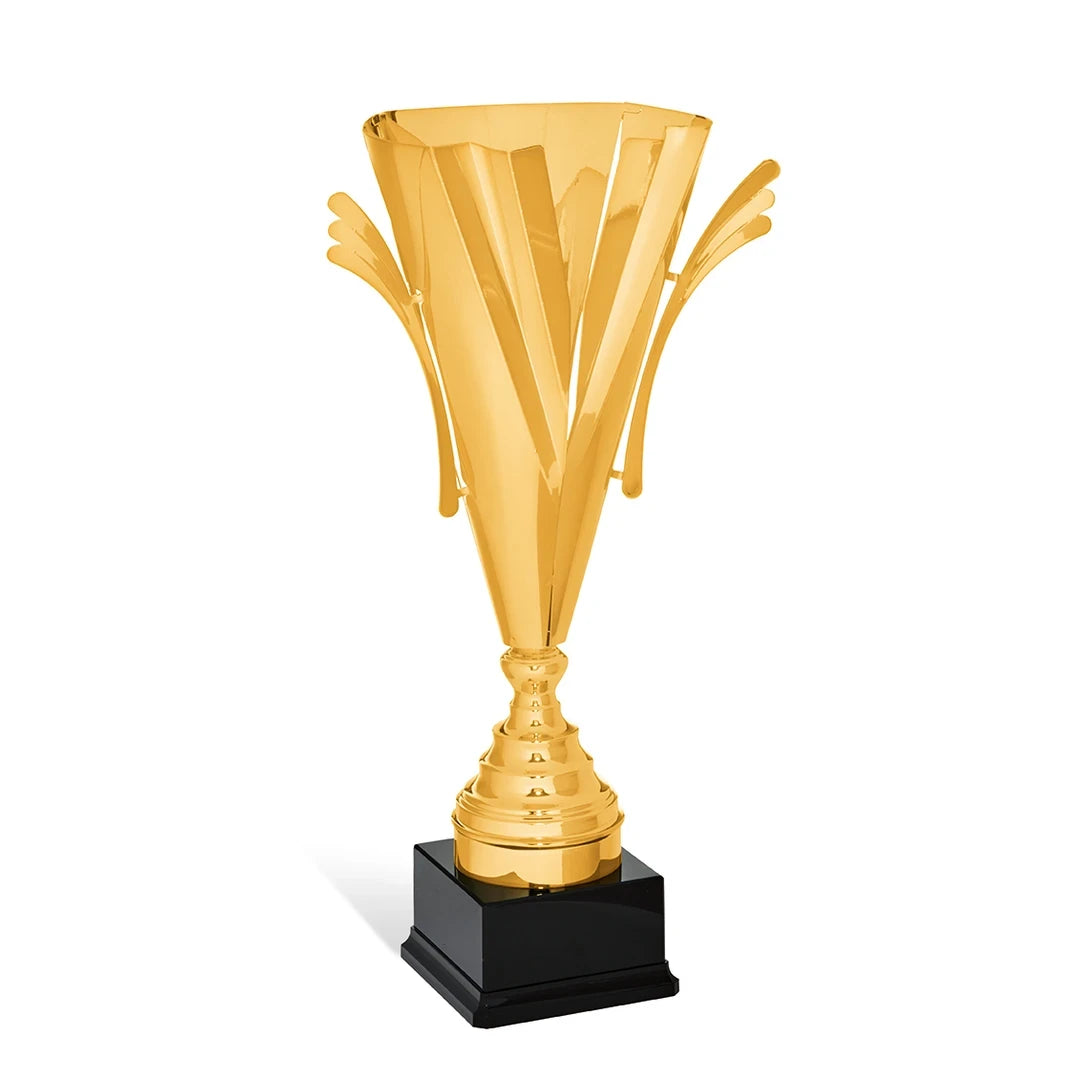 CBRIDGE:95003A:95003A_01