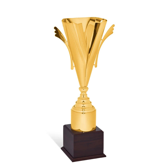 CBRIDGE:95003EXTRA:95003EXTRA_01