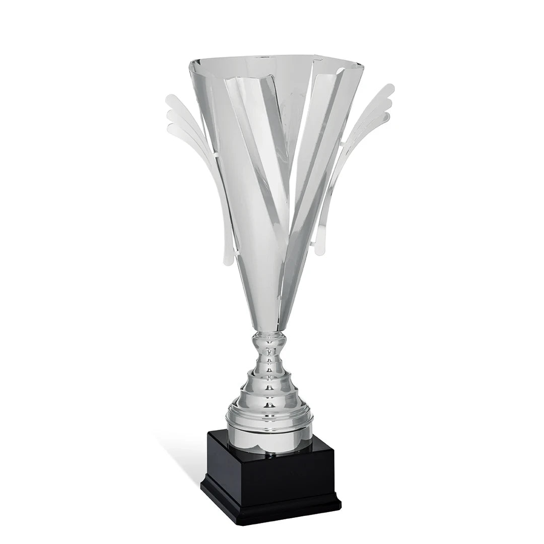 CBRIDGE:95004A:95004A_01