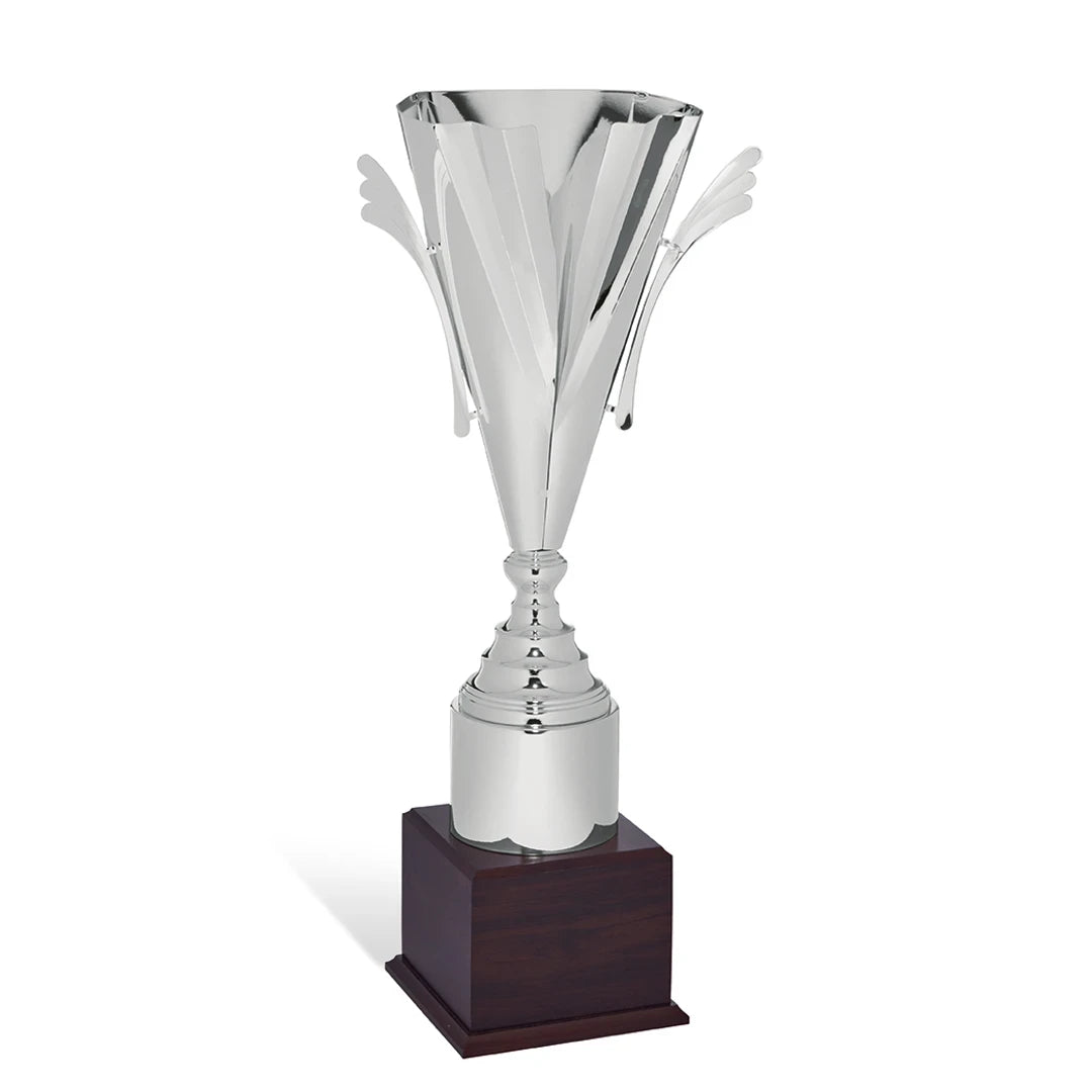 CBRIDGE:95004EXTRA:95004EXTRA_01