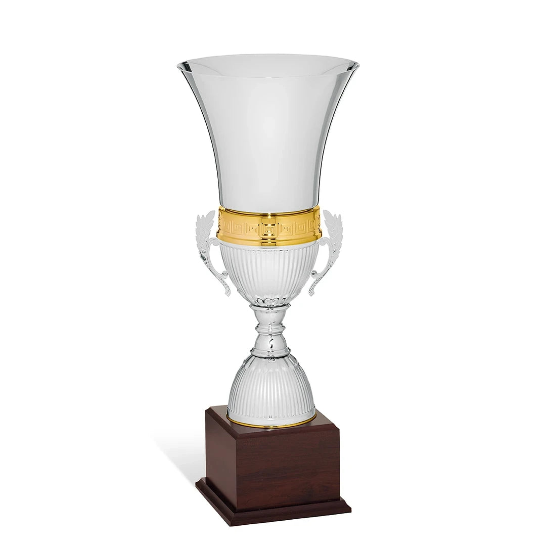 CBRIDGE:95029A:95029A_01