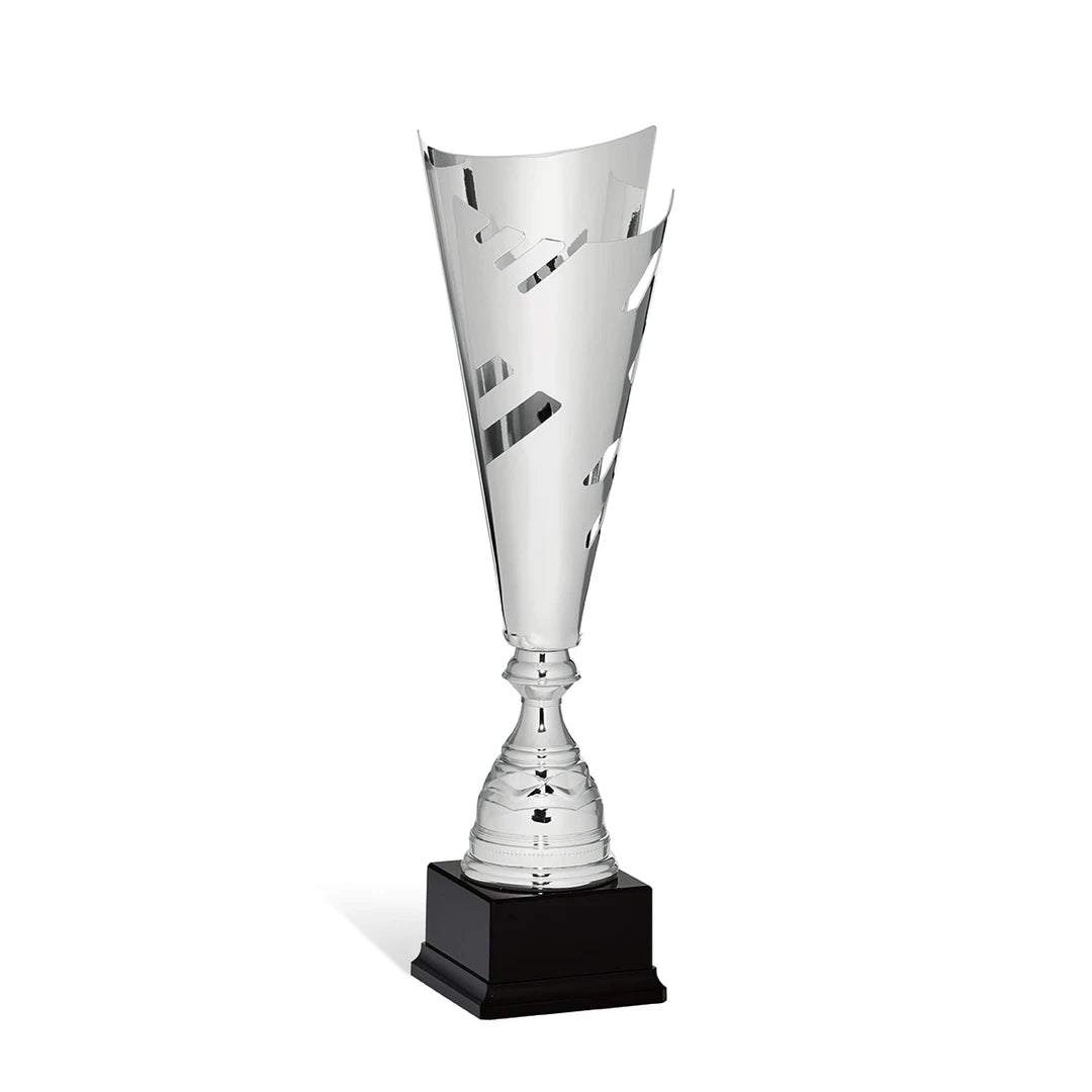 CBRIDGE:95048B:95048B_01