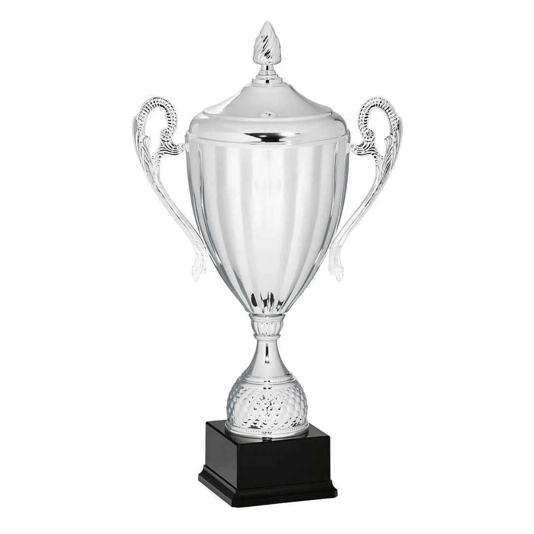 CBRIDGE:95093XA-COP:95093XA-COP_01