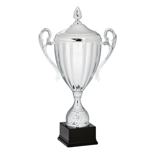 CBRIDGE:95093XA-COP:95093XA-COP_01