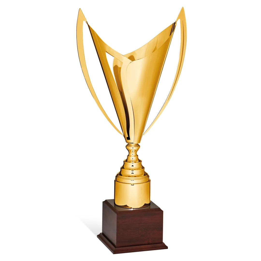 CBRIDGE:96001EXTRA:96001EXTRA_01