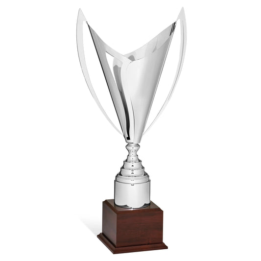 CBRIDGE:96002EXTRA:96002EXTRA_01