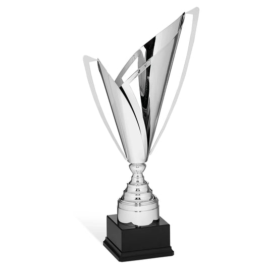 CBRIDGE:96010A:96010A_01