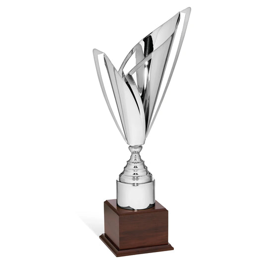 CBRIDGE:96010EXTRA:96010EXTRA_01