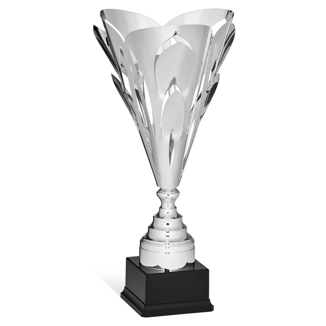 CBRIDGE:96012A:96012A_01