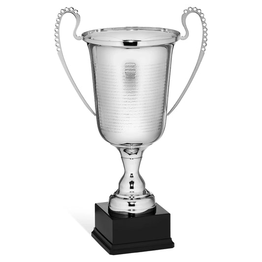 CBRIDGE:96025A:96025A_01