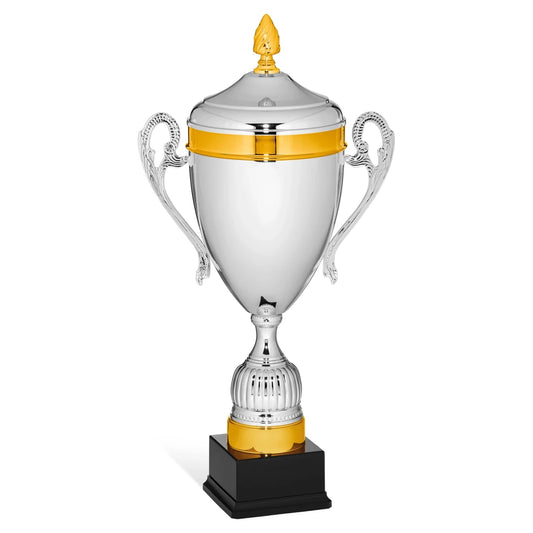 CBRIDGE:96027A:96027A_01