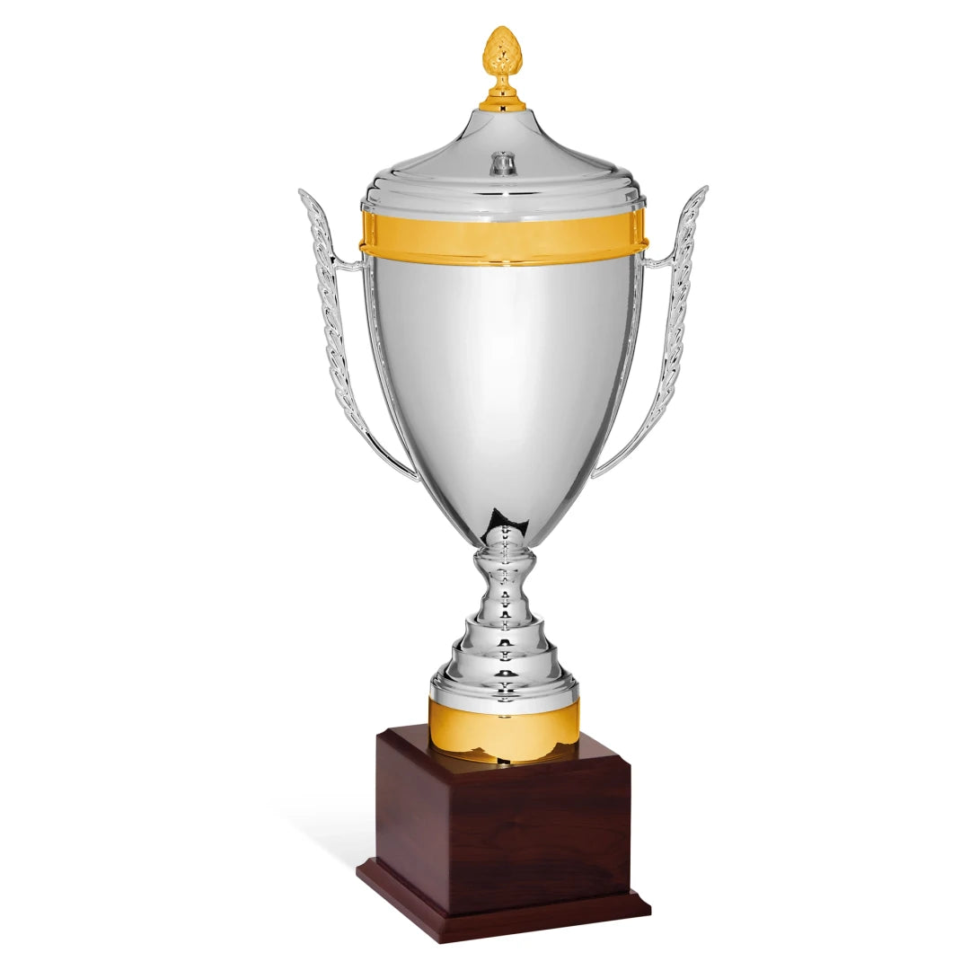 CBRIDGE:96028A:96028A_01