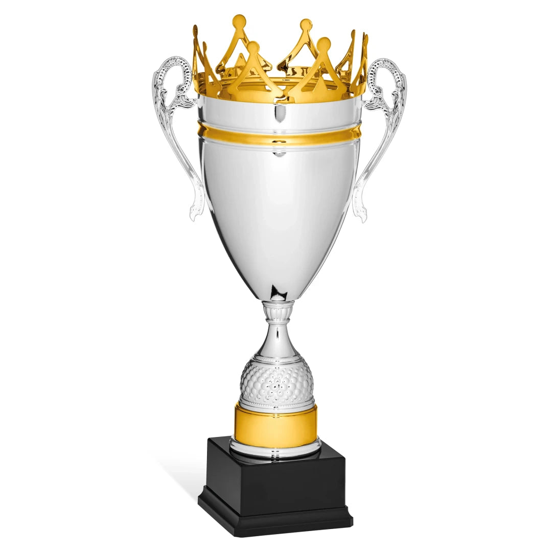 CBRIDGE:96029A:96029A_01