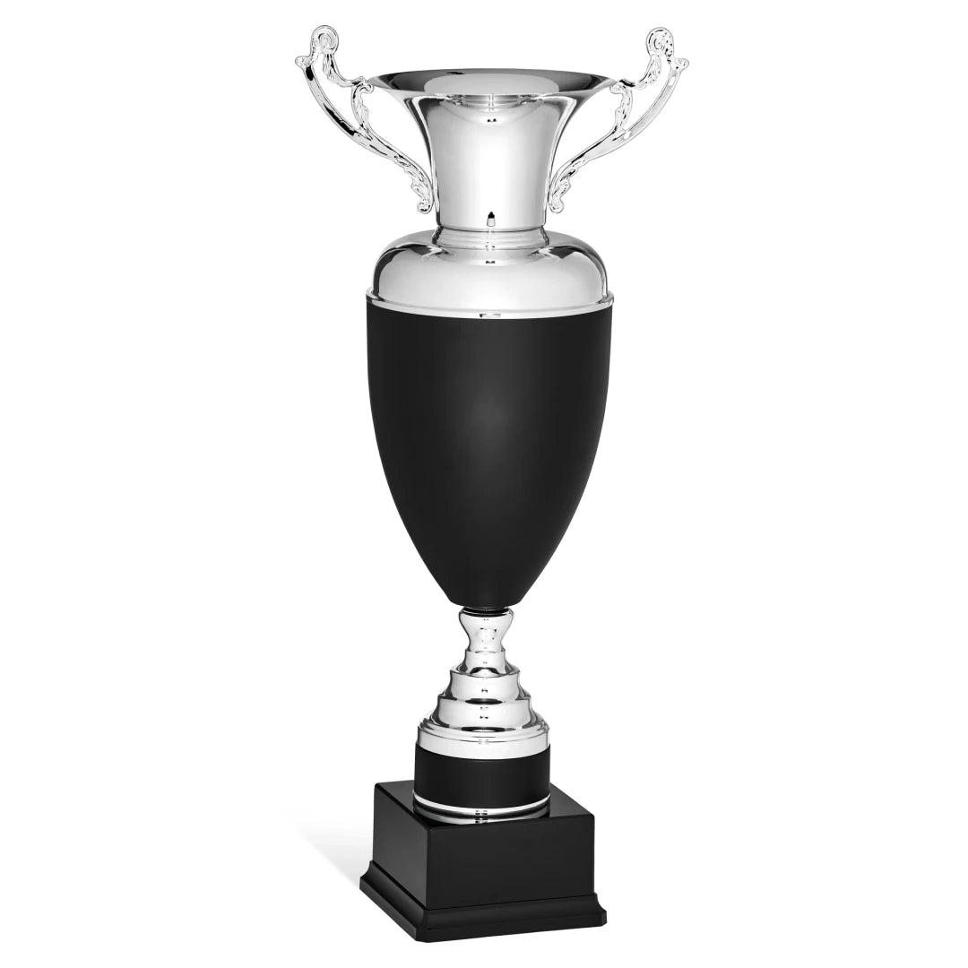 CBRIDGE:96034A:96034A_01