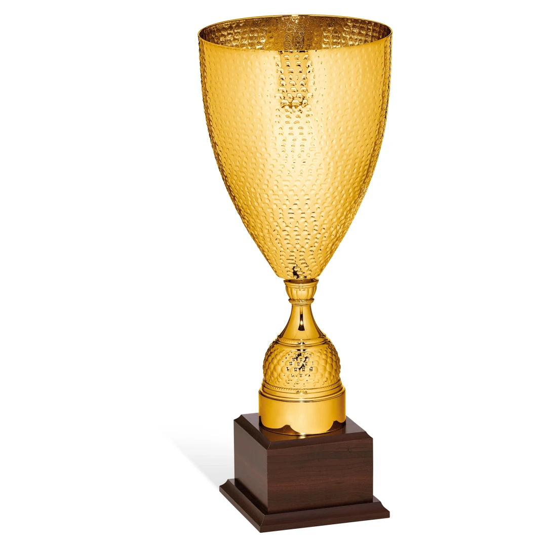 CBRIDGE:96041A:96041A_01