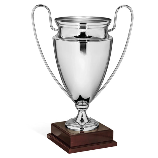 CBRIDGE:96043A:96043A_01