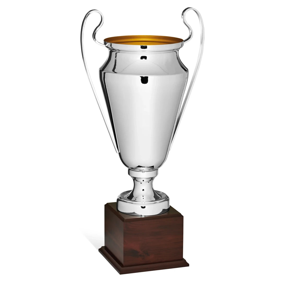 CBRIDGE:96045A:96045A_01