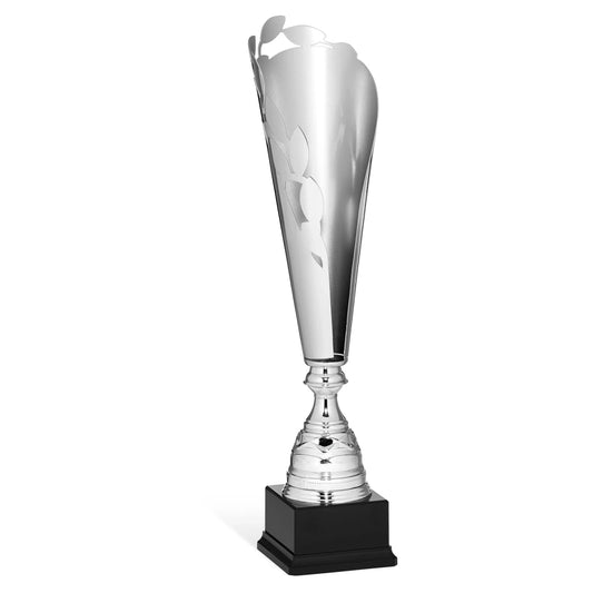 CBRIDGE:96066A:96066A_01