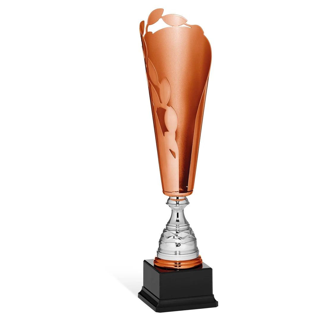 CBRIDGE:96067A:96067A_01