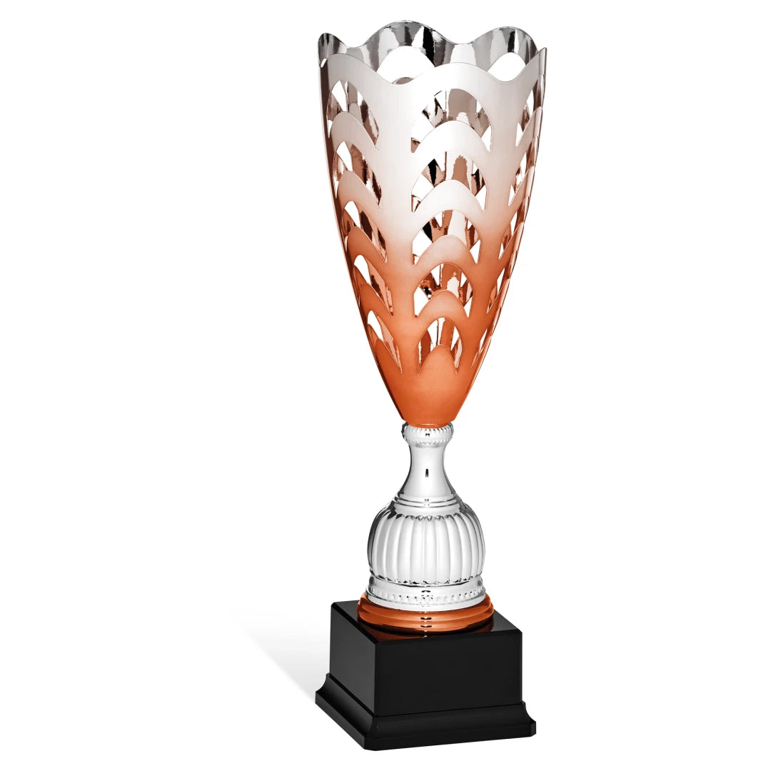 CBRIDGE:96070C:96070C_01