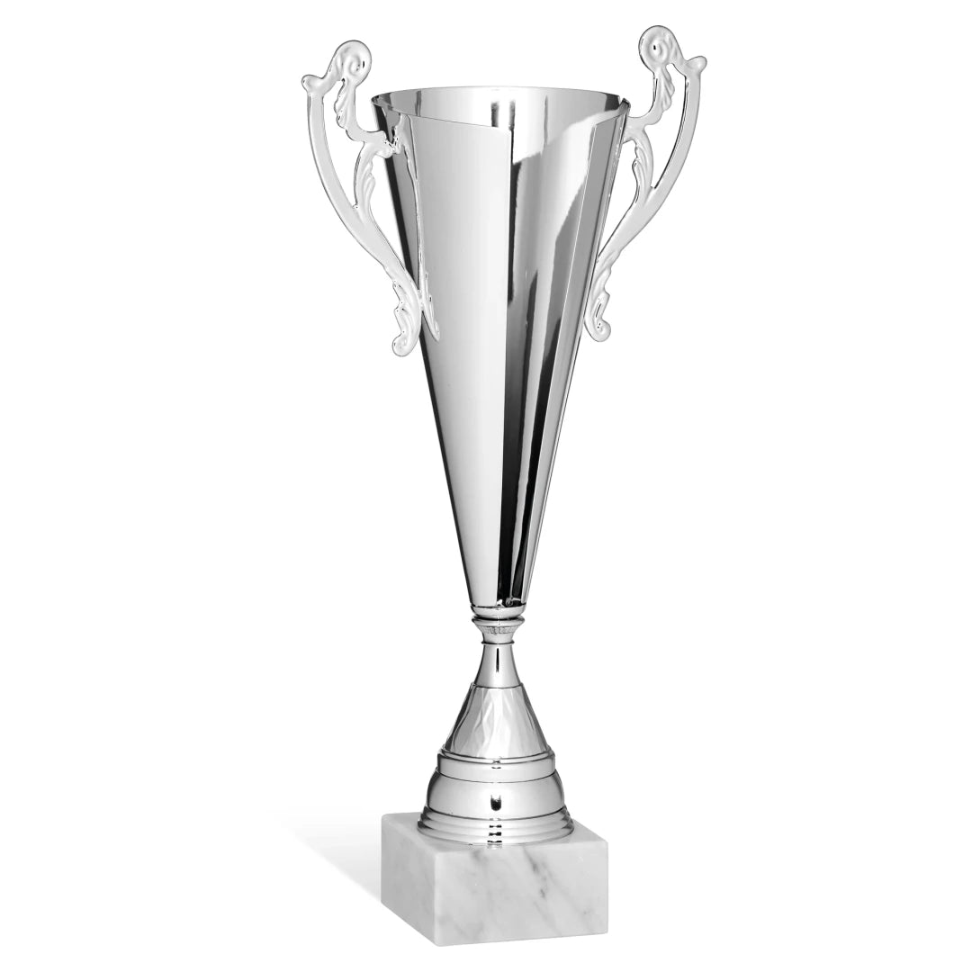 CBRIDGE:96091A:96091A_01