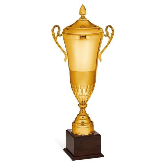 CBRIDGE:96114XA-COP:96114XA-COP_01