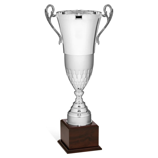 CBRIDGE:96115A:96115A_01