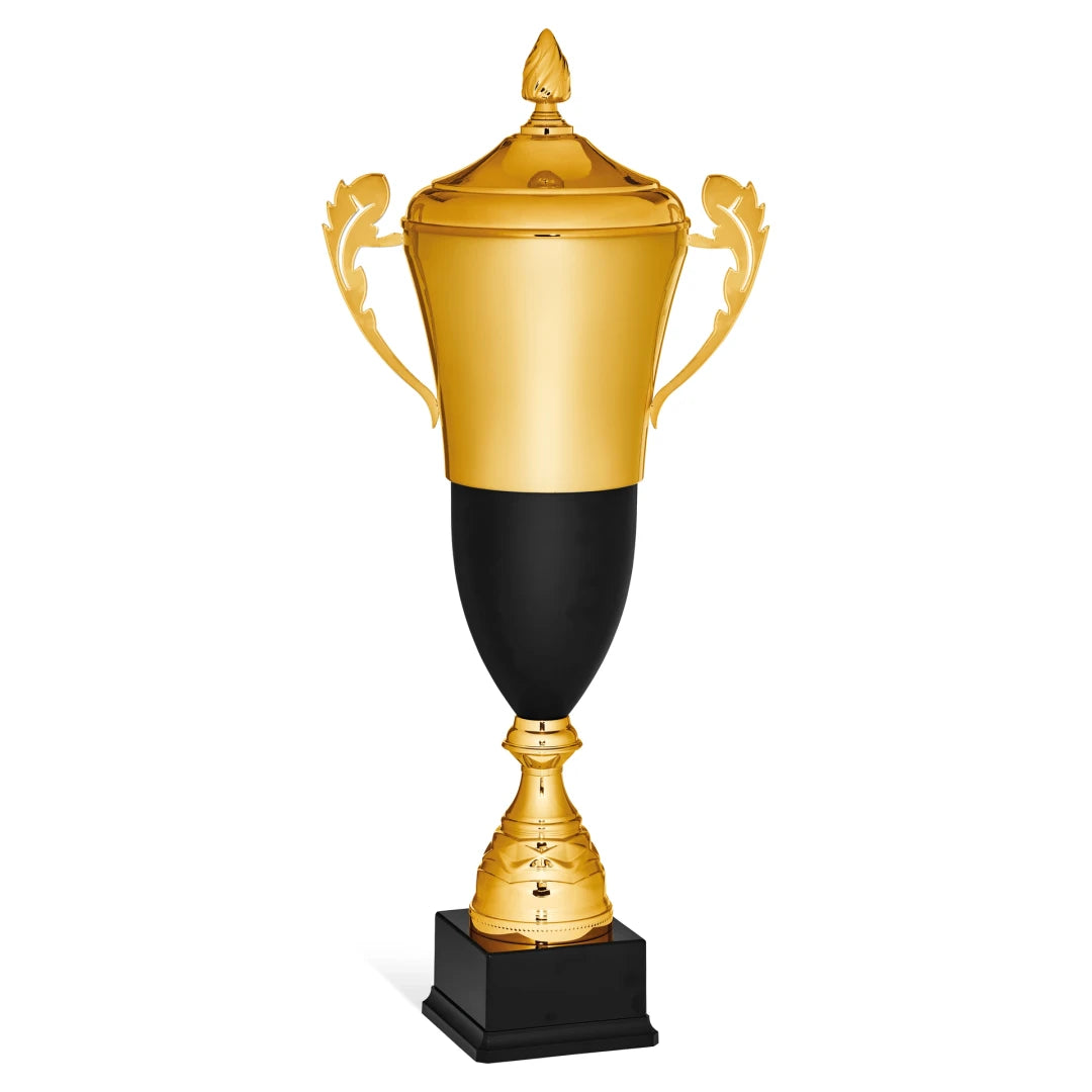 CBRIDGE:96116XA-COP:96116XA-COP_01