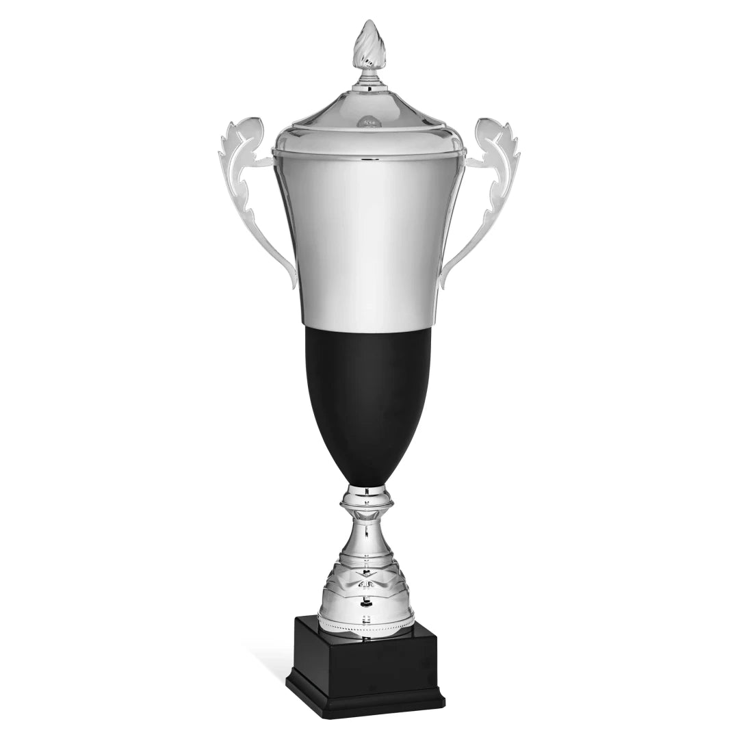 CBRIDGE:96117XA-COP:96117XA-COP_01