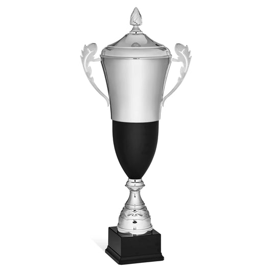 CBRIDGE:96117XA-COP:96117XA-COP_01