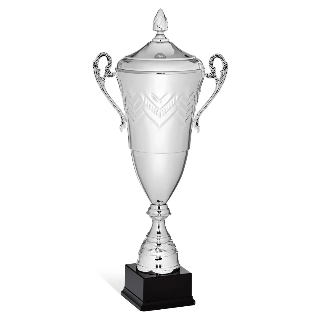 CBRIDGE:96119XA-COP:96119XA-COP_01