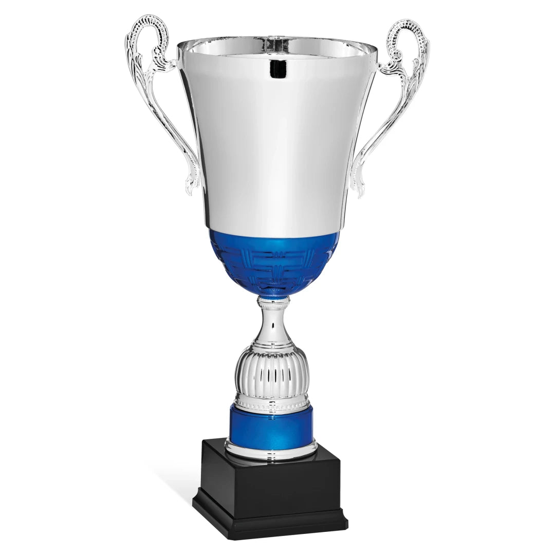 CBRIDGE:96125A:96125A_01