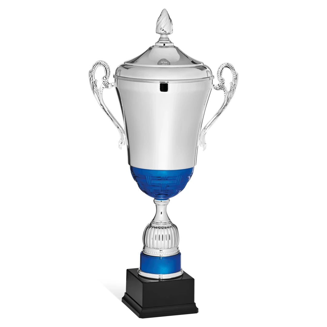 CBRIDGE:96125XA-COP:96125XA-COP_01