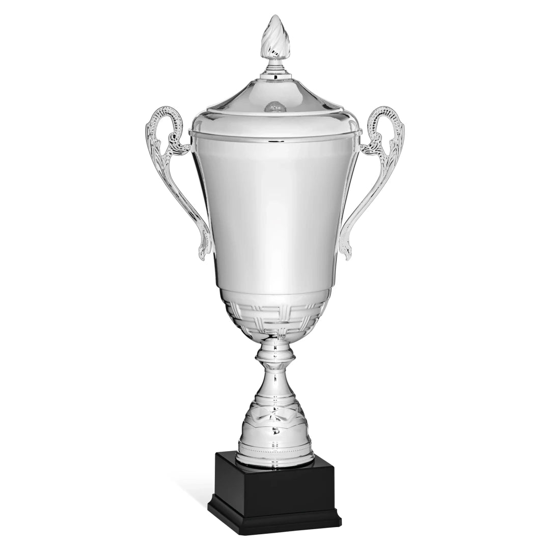 CBRIDGE:96127XA-COP:96127XA-COP_01