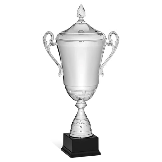 CBRIDGE:96127XA-COP:96127XA-COP_01