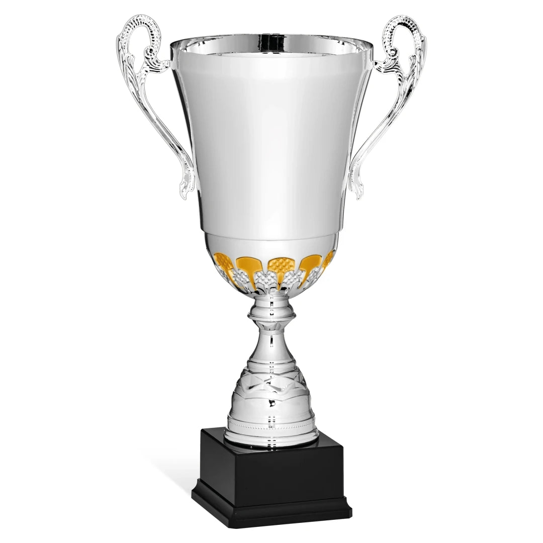 CBRIDGE:96128A:96128A_01