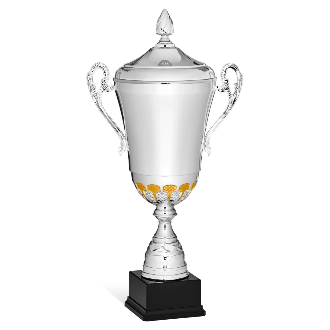 CBRIDGE:96128XA-COP:96128XA-COP_01