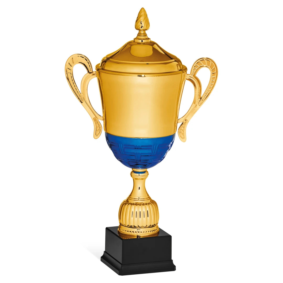 CBRIDGE:96130XA-COP:96130XA-COP_01