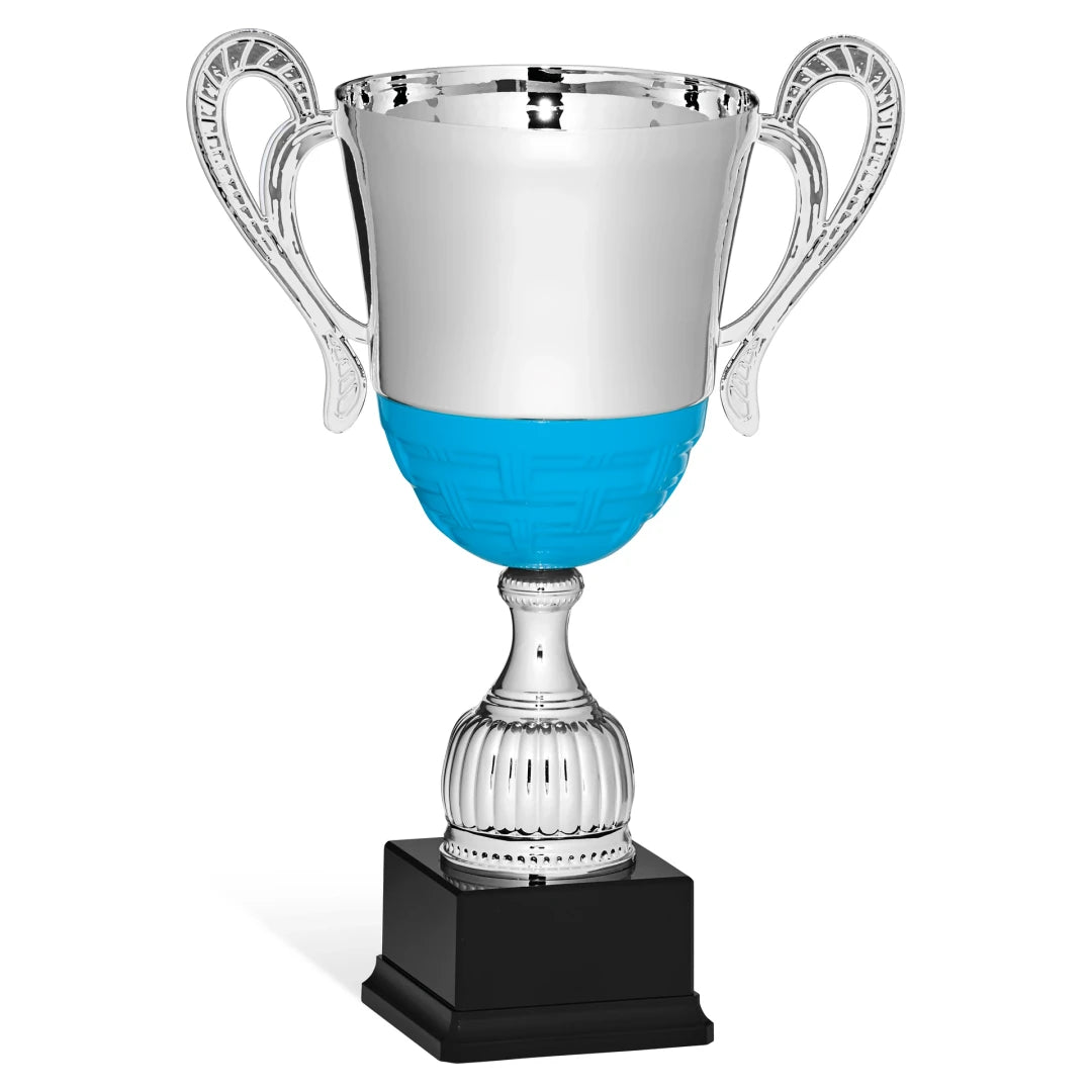 CBRIDGE:96131A:96131A_01