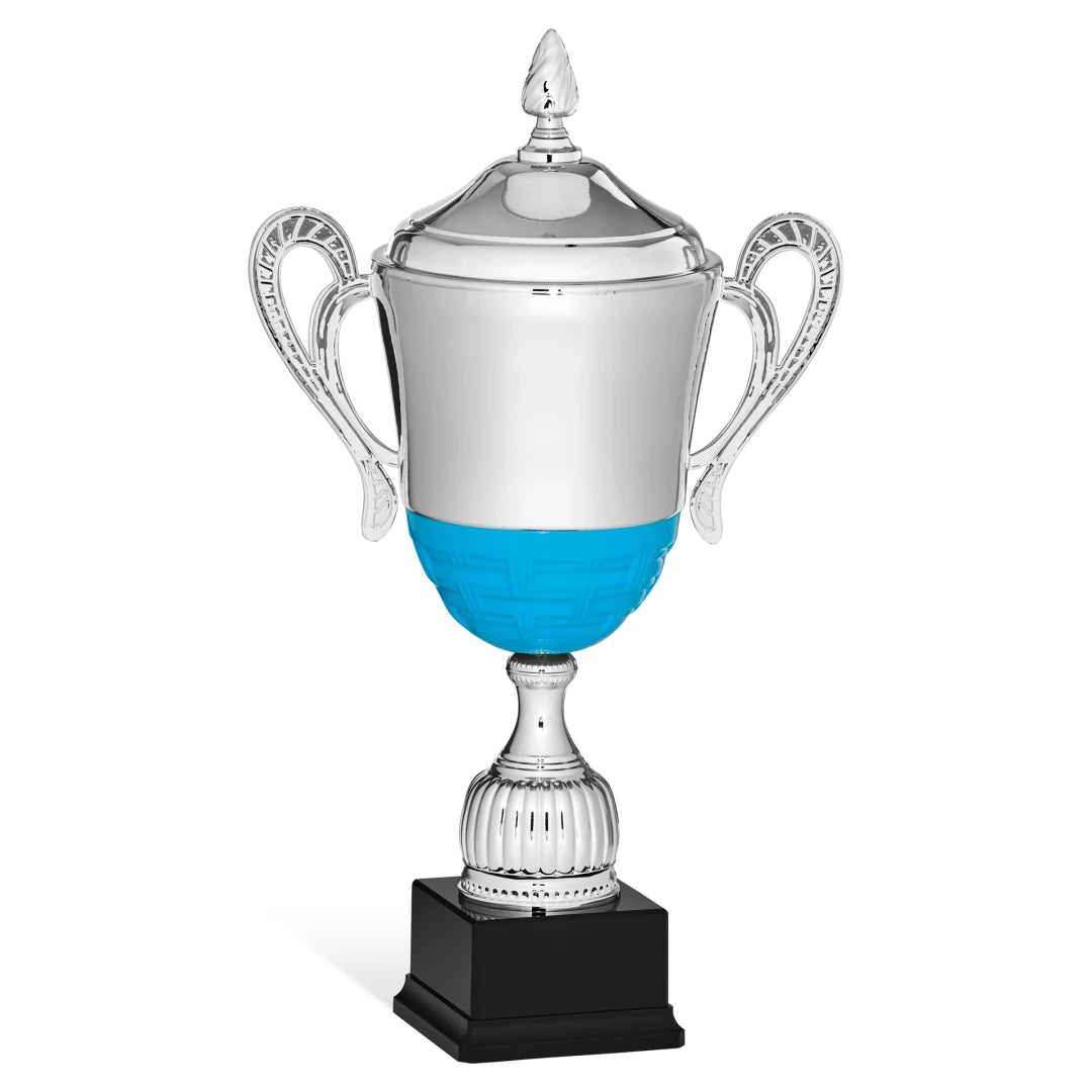 CBRIDGE:96131XA-COP:96131XA-COP_01