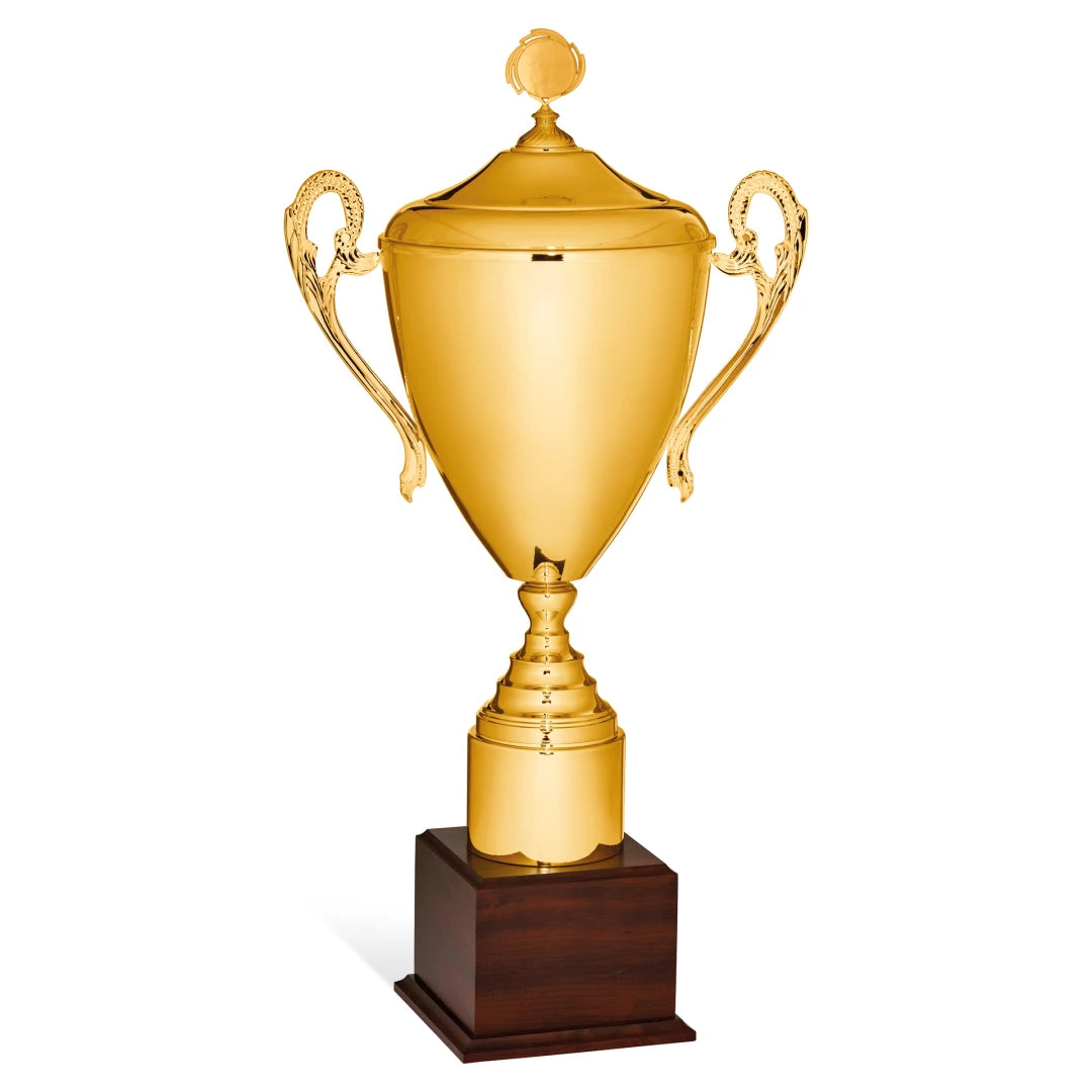 CBRIDGE:96132A:96132A_01