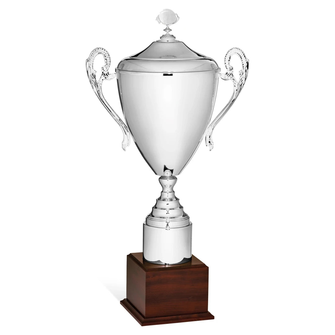 CBRIDGE:96133A:96133A_01