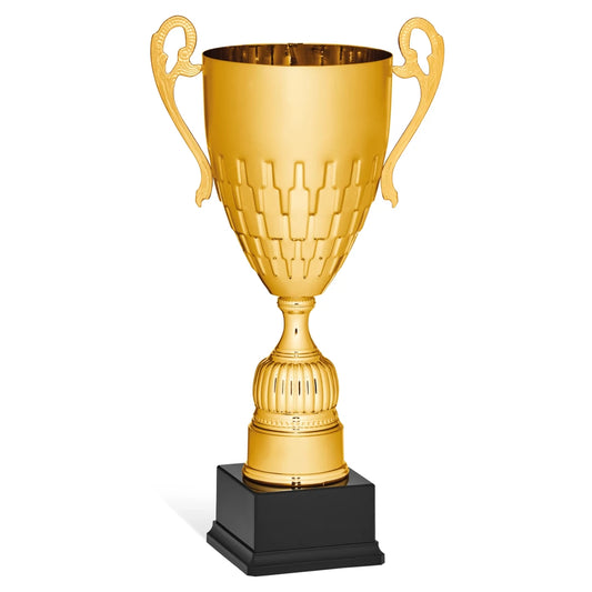 CBRIDGE:96134A:96134A_01