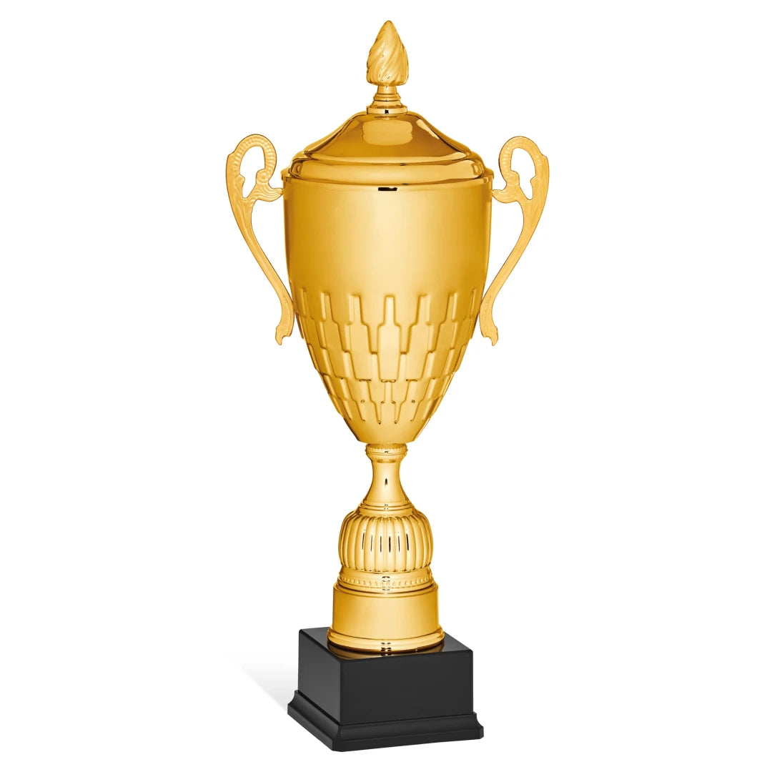 CBRIDGE:96134XA-COP:96134XA-COP_01