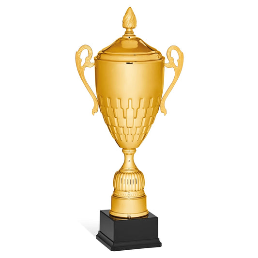 CBRIDGE:96134XA-COP:96134XA-COP_01