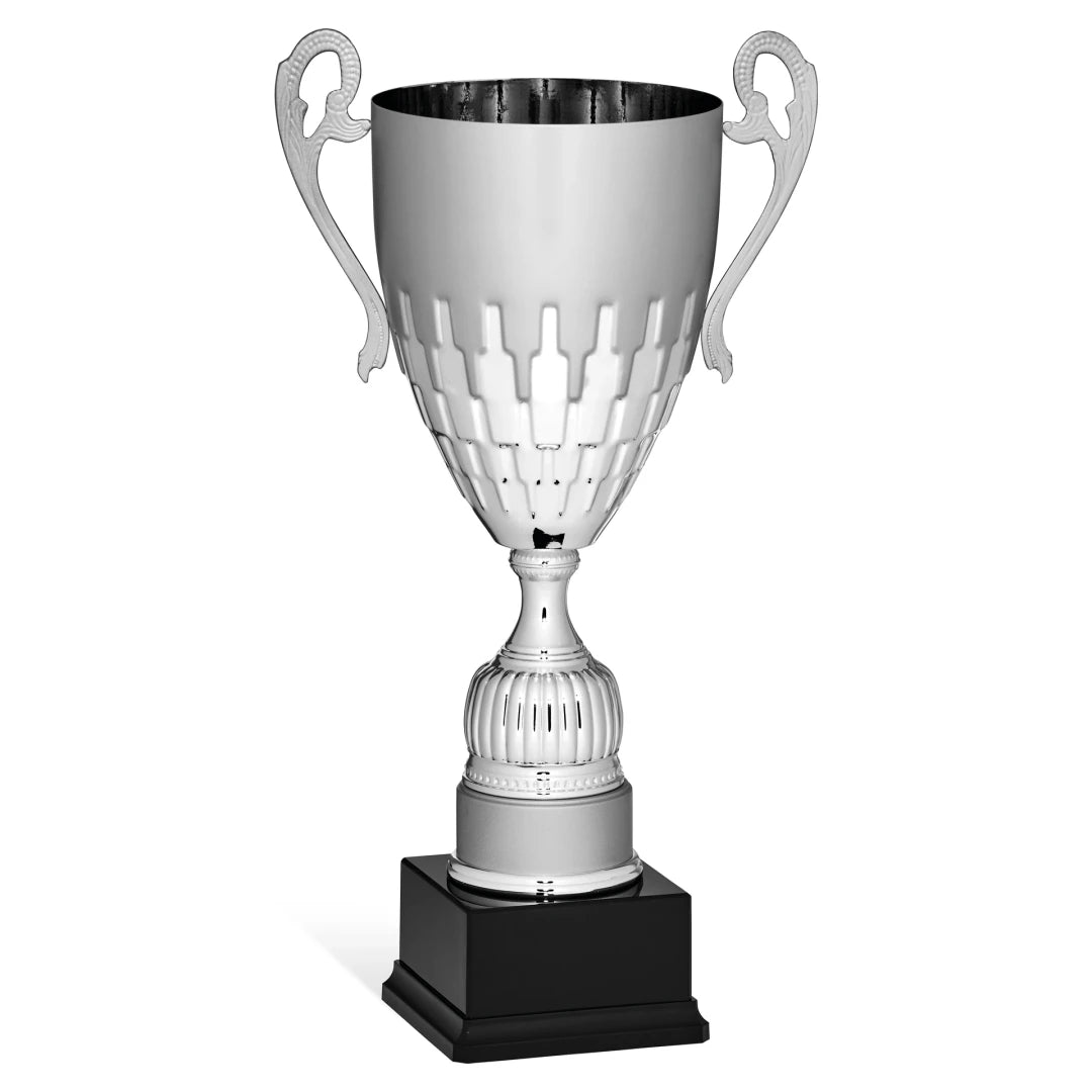 CBRIDGE:96135A:96135A_01