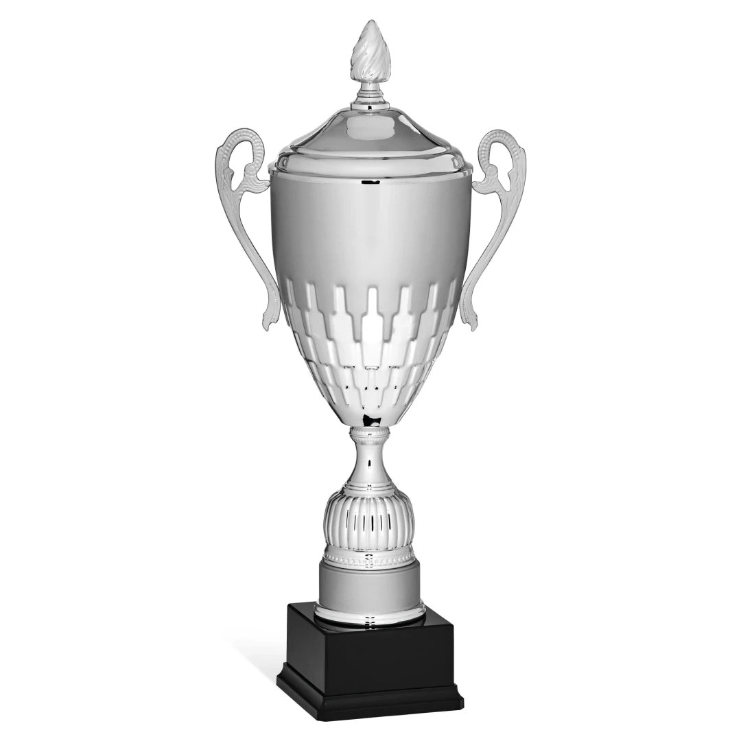 CBRIDGE:96135XA-COP:96135XA-COP_01