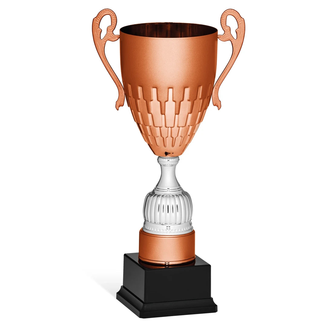 CBRIDGE:96136A:96136A_01