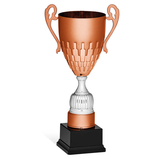 CBRIDGE:96136A:96136A_01