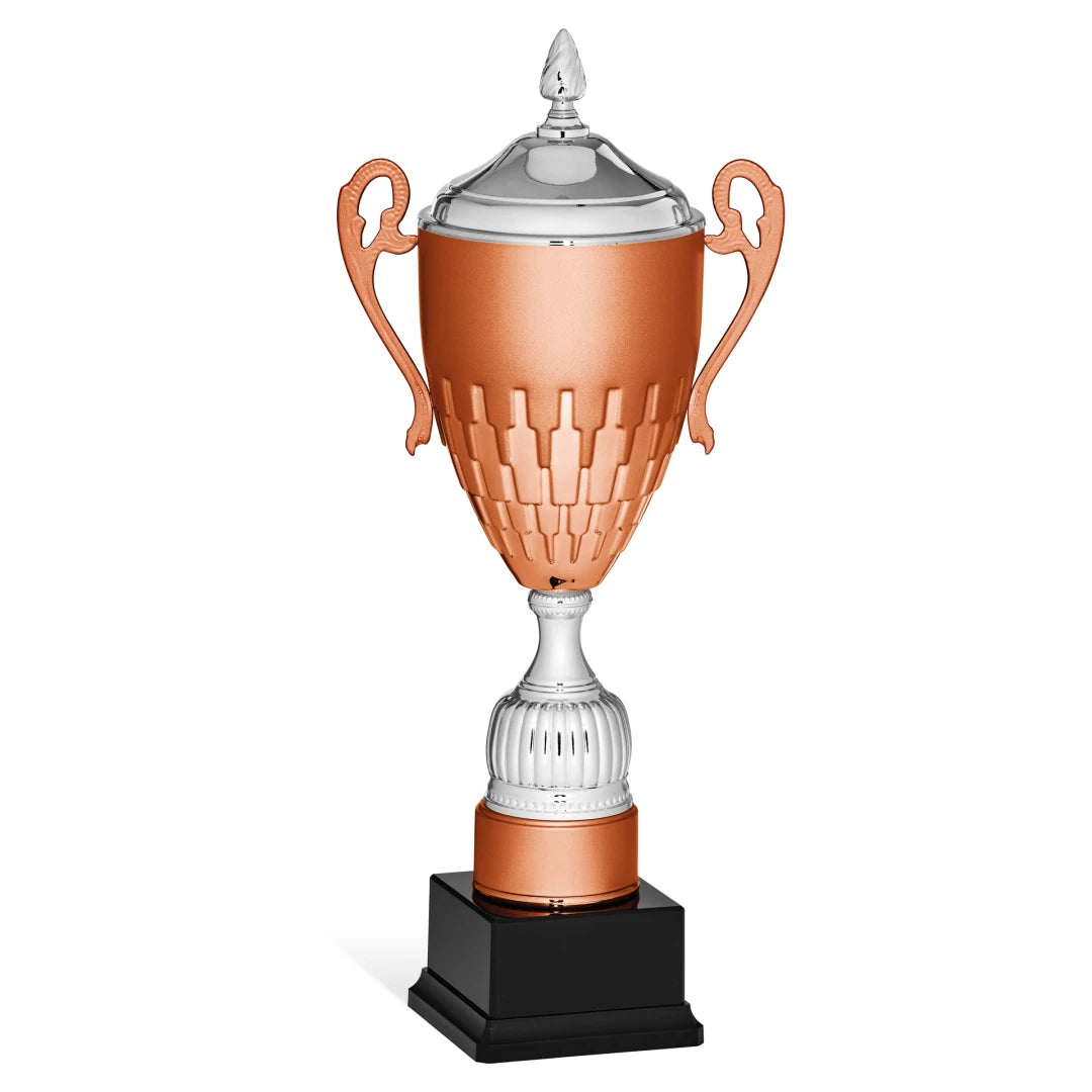 CBRIDGE:96136XA-COP:96136XA-COP_01